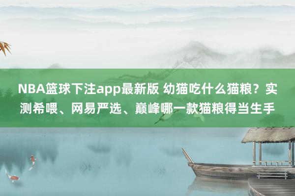 NBA篮球下注app最新版 幼猫吃什么猫粮？实测希喂、网易严选、巅峰哪一款猫粮得当生手