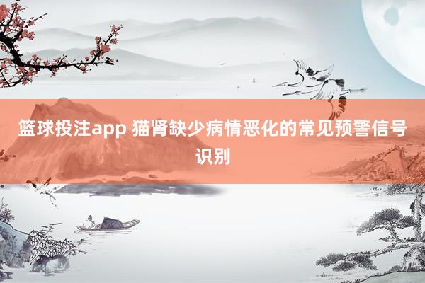 篮球投注app 猫肾缺少病情恶化的常见预警信号识别