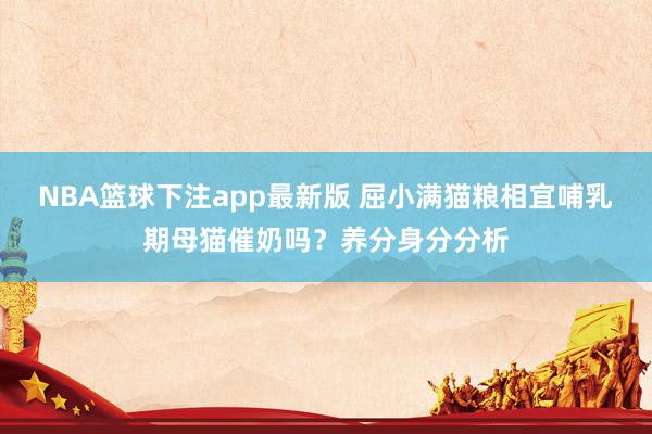 NBA篮球下注app最新版 屈小满猫粮相宜哺乳期母猫催奶吗？养分身分分析