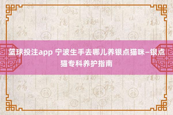 篮球投注app 宁波生手去哪儿养银点猫咪—银点猫专科养护指南