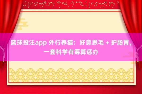 篮球投注app 外行养猫：好意思毛 + 护肠胃，一套科学有筹算惩办