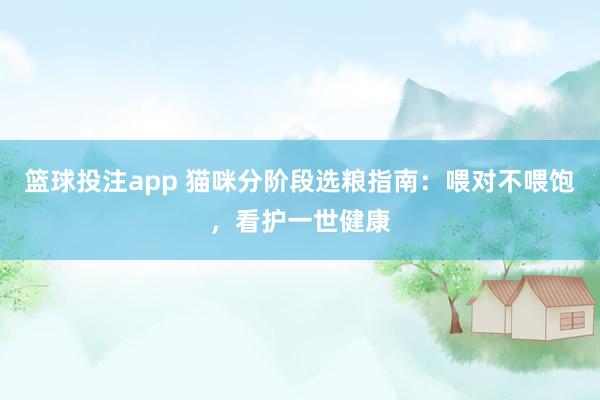 篮球投注app 猫咪分阶段选粮指南：喂对不喂饱，看护一世健康