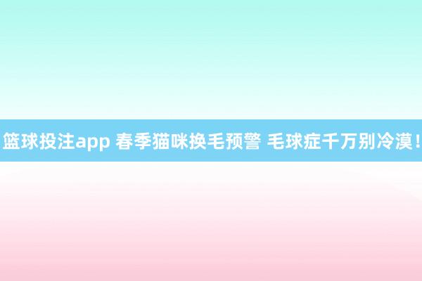 篮球投注app 春季猫咪换毛预警 毛球症千万别冷漠！