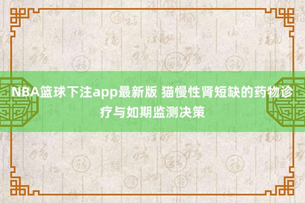 NBA篮球下注app最新版 猫慢性肾短缺的药物诊疗与如期监测决策