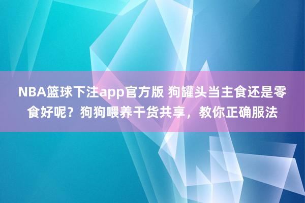 NBA篮球下注app官方版 狗罐头当主食还是零食好呢？狗狗喂养干货共享，教你正确服法