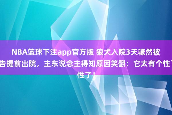 NBA篮球下注app官方版 狼犬入院3天骤然被奉告提前出院，主东说念主得知原因笑翻：它太有个性了！