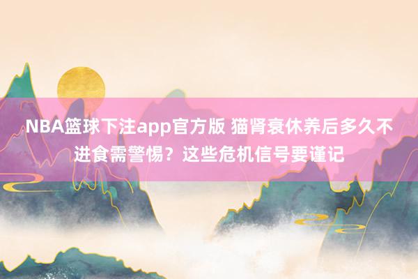 NBA篮球下注app官方版 猫肾衰休养后多久不进食需警惕？这些危机信号要谨记