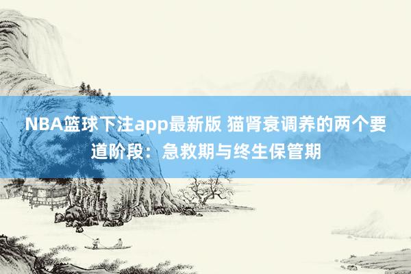 NBA篮球下注app最新版 猫肾衰调养的两个要道阶段：急救期与终生保管期