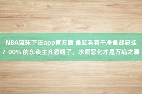 NBA篮球下注app官方版 鱼缸看着干净鱼却总挂？90% 的东谈主齐忽略了，水质恶化才是万病之源