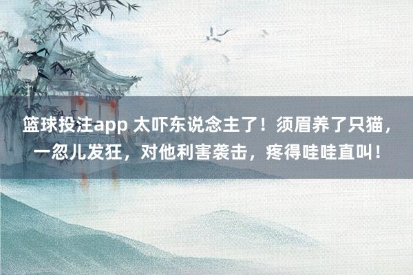 篮球投注app 太吓东说念主了！须眉养了只猫，一忽儿发狂，对他利害袭击，疼得哇哇直叫！