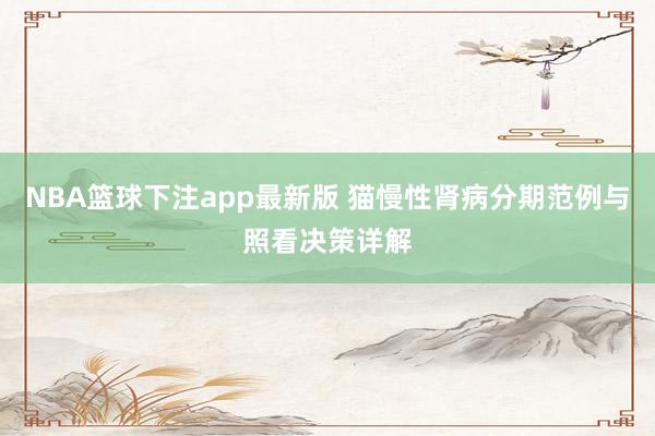 NBA篮球下注app最新版 猫慢性肾病分期范例与照看决策详解