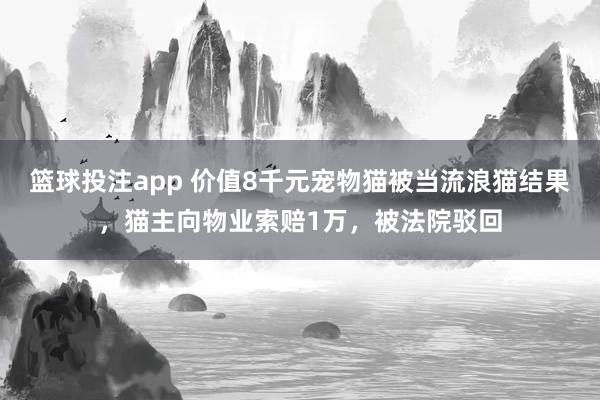 篮球投注app 价值8千元宠物猫被当流浪猫结果，猫主向物业索赔1万，被法院驳回