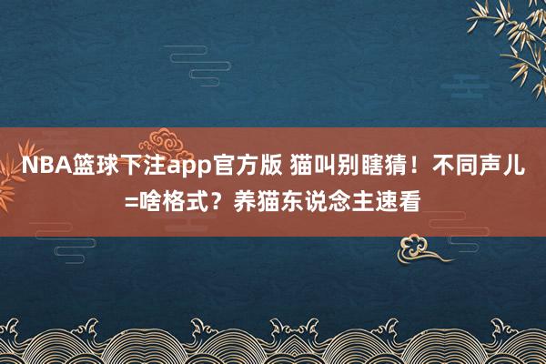 NBA篮球下注app官方版 猫叫别瞎猜！不同声儿=啥格式？养猫东说念主速看