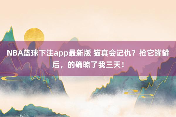 NBA篮球下注app最新版 猫真会记仇？抢它罐罐后，的确晾了我三天！