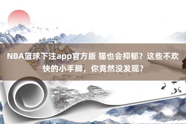 NBA篮球下注app官方版 猫也会抑郁？这些不欢快的小手脚，你竟然没发现？
