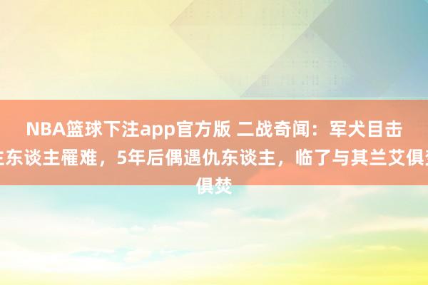 NBA篮球下注app官方版 二战奇闻：军犬目击主东谈主罹难，5年后偶遇仇东谈主，临了与其兰艾俱焚
