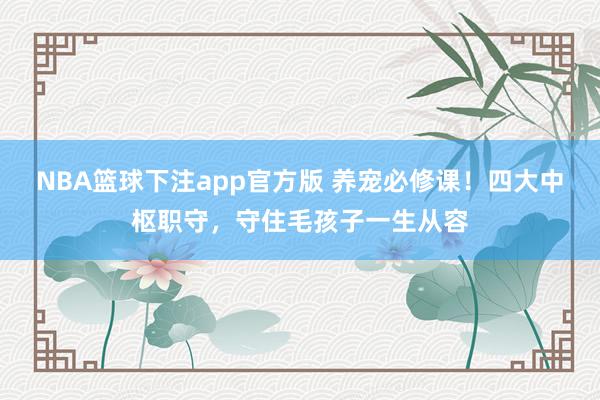 NBA篮球下注app官方版 养宠必修课！四大中枢职守，守住毛孩子一生从容