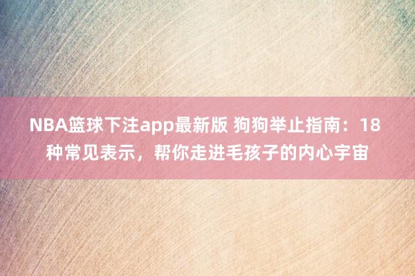 NBA篮球下注app最新版 狗狗举止指南：18 种常见表示，帮你走进毛孩子的内心宇宙