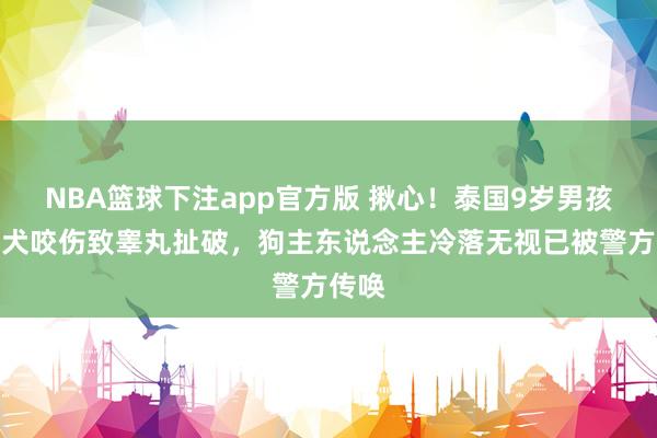 NBA篮球下注app官方版 揪心！泰国9岁男孩被恶犬咬伤致睾丸扯破，狗主东说念主冷落无视已被警方传唤