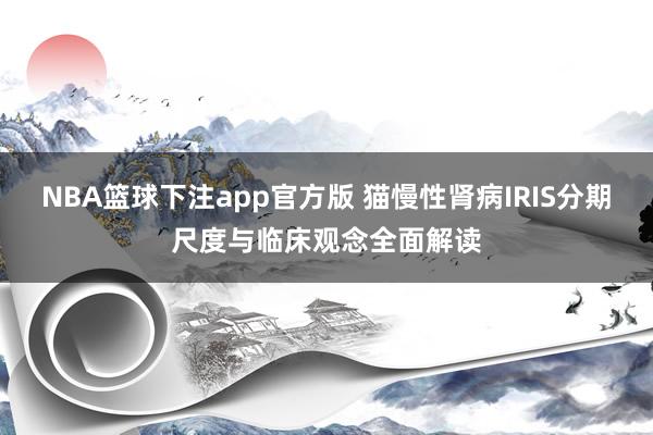 NBA篮球下注app官方版 猫慢性肾病IRIS分期尺度与临床观念全面解读