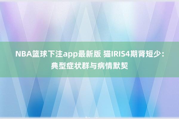 NBA篮球下注app最新版 猫IRIS4期肾短少：典型症状群与病情默契