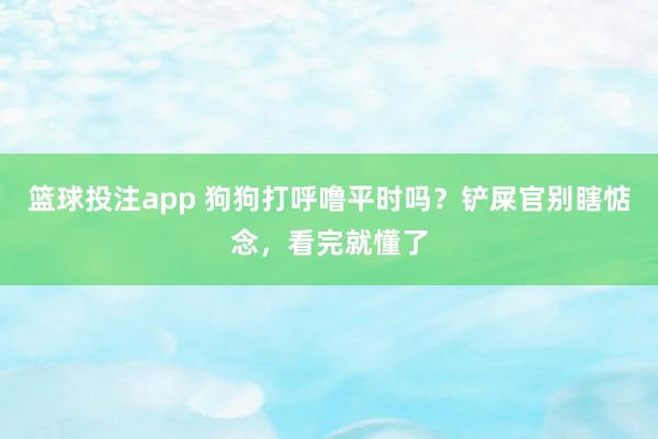 篮球投注app 狗狗打呼噜平时吗？铲屎官别瞎惦念，看完就懂了