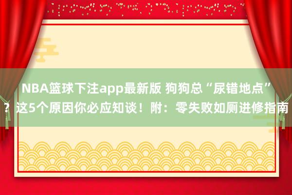 NBA篮球下注app最新版 狗狗总“尿错地点”？这5个原因你必应知谈！附：零失败如厕进修指南