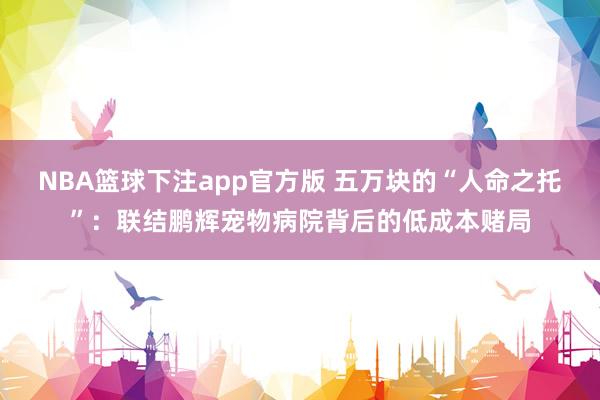 NBA篮球下注app官方版 五万块的“人命之托”：联结鹏辉宠物病院背后的低成本赌局