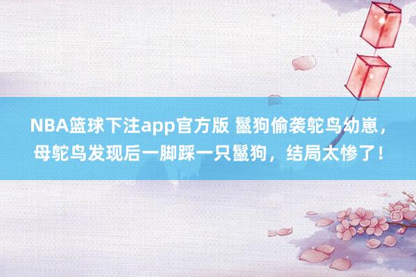 NBA篮球下注app官方版 鬣狗偷袭鸵鸟幼崽，母鸵鸟发现后一脚踩一只鬣狗，结局太惨了！