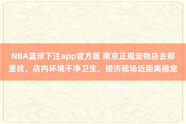 NBA篮球下注app官方版 南京正规宠物店去那里找，店内环境干净卫生，接济现场近距离撸宠
