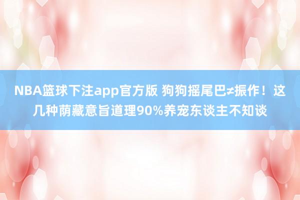 NBA篮球下注app官方版 狗狗摇尾巴≠振作！这几种荫藏意旨道理90%养宠东谈主不知谈