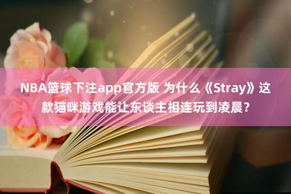 NBA篮球下注app官方版 为什么《Stray》这款猫咪游戏能让东谈主相连玩到凌晨？