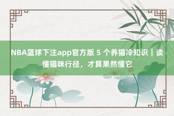 NBA篮球下注app官方版 5 个养猫冷知识｜读懂猫咪行径，才算果然懂它