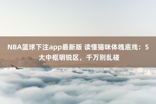 NBA篮球下注app最新版 读懂猫咪体魄底线：5 大中枢明锐区，千万别乱碰