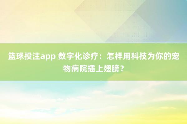 篮球投注app 数字化诊疗：怎样用科技为你的宠物病院插上翅膀？