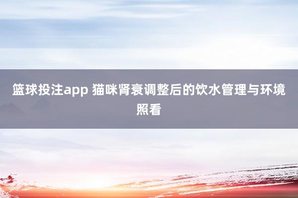 篮球投注app 猫咪肾衰调整后的饮水管理与环境照看