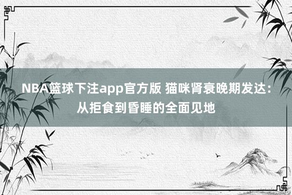 NBA篮球下注app官方版 猫咪肾衰晚期发达：从拒食到昏睡的全面见地