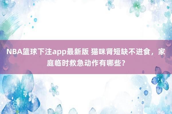 NBA篮球下注app最新版 猫咪肾短缺不进食，家庭临时救急动作有哪些？