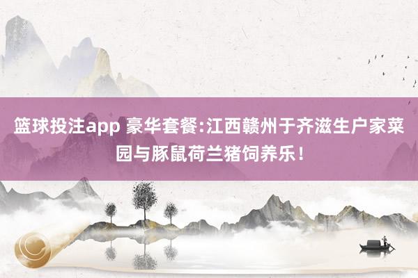 篮球投注app 豪华套餐:江西赣州于齐滋生户家菜园与豚鼠荷兰猪饲养乐！
