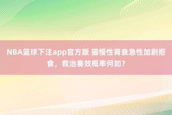 NBA篮球下注app官方版 猫慢性肾衰急性加剧拒食，救治奏效概率何如？