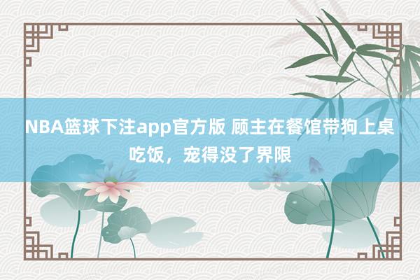 NBA篮球下注app官方版 顾主在餐馆带狗上桌吃饭，宠得没了界限