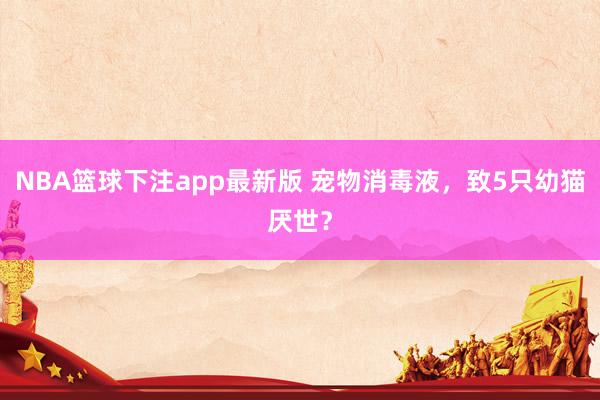 NBA篮球下注app最新版 宠物消毒液，致5只幼猫厌世？