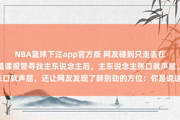 NBA篮球下注app官方版 网友碰到只走丢在路边号啕大哭的阿拉，温谍报警寻找主东说念主后，主东说念主张口就声屈，还让网友发现了辞别劲的方位：你是说这坨狗子叫咪咪？