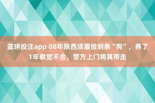 篮球投注app 08年陕西须眉捡到条“狗”，养了1年察觉不合，警方上门将其带走