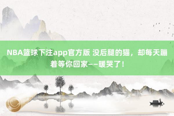 NBA篮球下注app官方版 没后腿的猫，却每天蹦着等你回家——暖哭了！