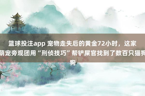 篮球投注app 宠物走失后的黄金72小时，这家萌宠旁观团用“刑侦技巧”帮铲屎官找到了数百只猫狗