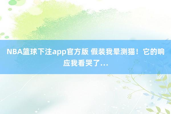 NBA篮球下注app官方版 假装我晕测猫！它的响应我看哭了…