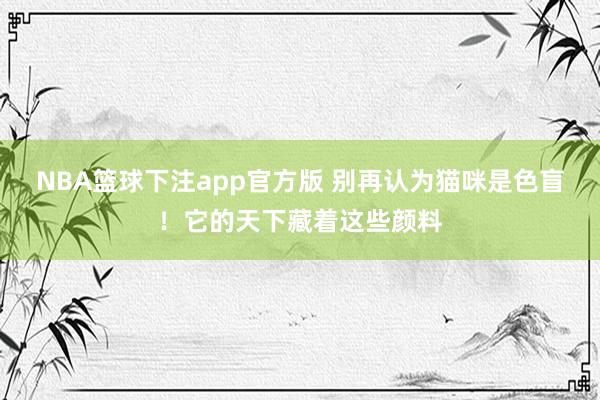 NBA篮球下注app官方版 别再认为猫咪是色盲！它的天下藏着这些颜料