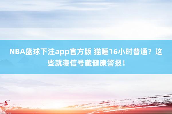 NBA篮球下注app官方版 猫睡16小时普通？这些就寝信号藏健康警报！