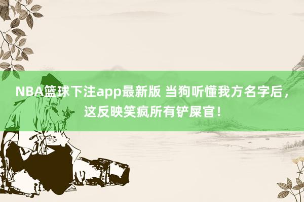 NBA篮球下注app最新版 当狗听懂我方名字后，这反映笑疯所有铲屎官！